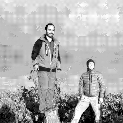 Rogue Vine — natural wine producer