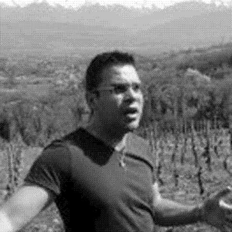 Romain Chamiot — natural wine producer