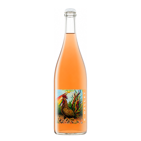 Tenuta Santa Lucia Gallet Frizzante 2023 is an organic Sangiovese rosé from Emilia-Romagna, Italy, with a light body