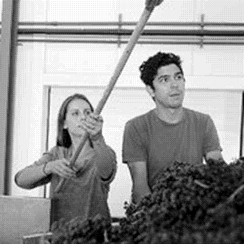 Say When — natural wine producer