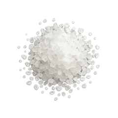 Sea Salt Icon Tasting | Primal Wine