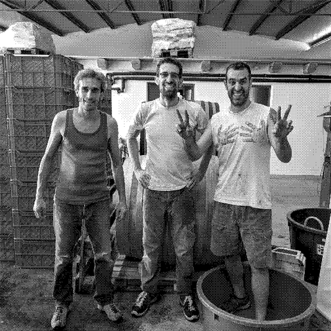 Siemàn, natural wine producer team in the cellar during harvest