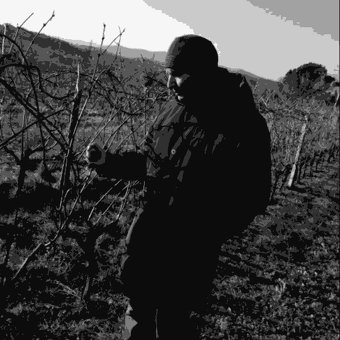 Skerk — natural wine producer
