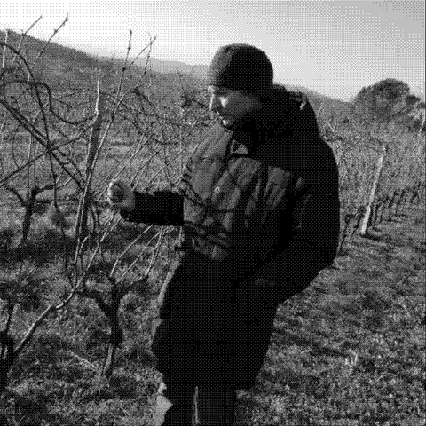 Skerk — natural wine producer