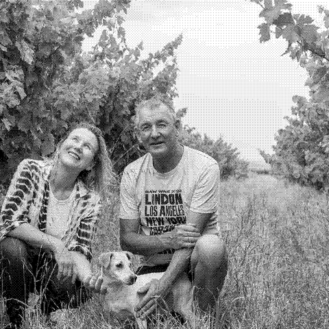Smallfry — natural wine producer