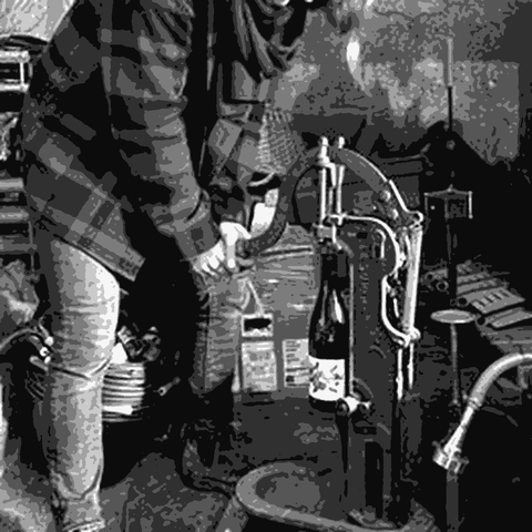 Sonshine Vins — natural wine producer