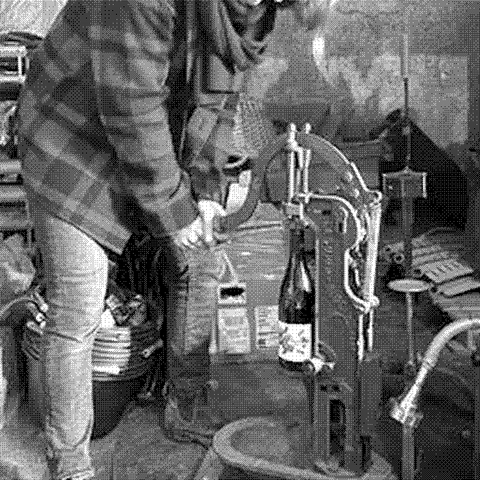 Sonshine Vins — natural wine producer