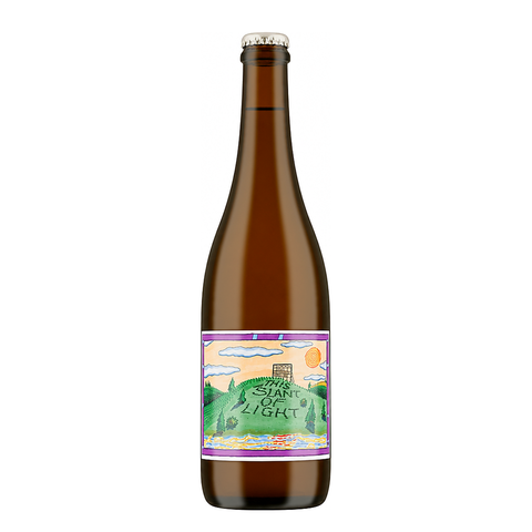 Stagiaire Wine This Slant of Light Chardonnay 2023, natural white wine bottle at Primal Wine