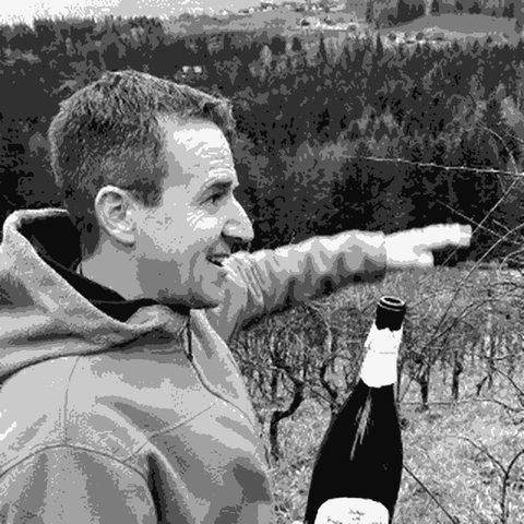 Strohmeier — natural wine producer