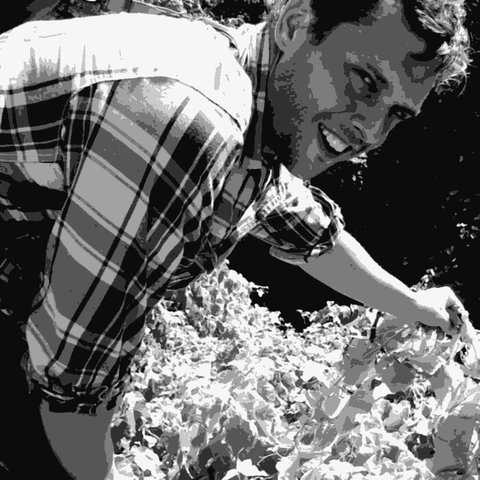 Swick Wines — natural wine producer
