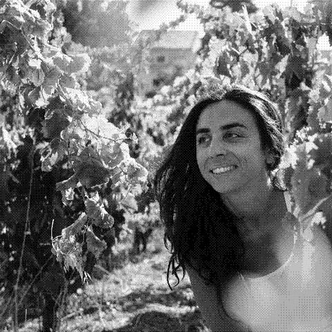 Tami' — natural wine producer