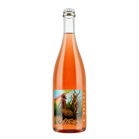 Tenuta Santa Lucia Gallet Rosato Frizzante 2023, natural rosé wine bottle at Primal Wine