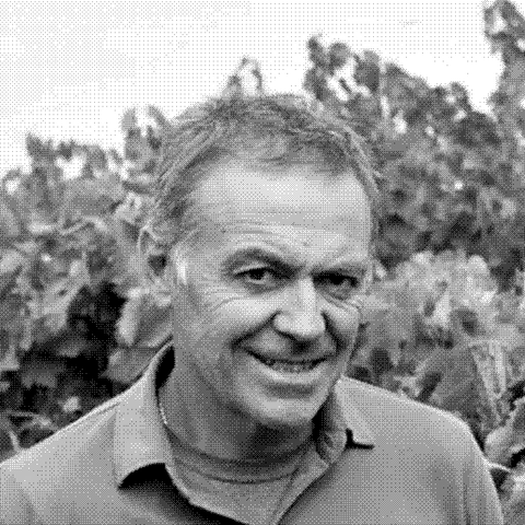 Tenuta Santa Lucia, natural wine producer in the vineyard, Italy