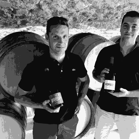 Thibault Ducroux — natural wine producer