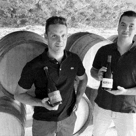 Thibault Ducroux — natural wine producer