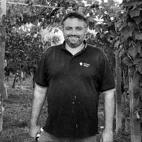 Marco Tintero, natural wine producer, standing in his vineyard in Mango, Piedmont, Italy