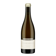 Bruno Colin Chassagne-Montrachet 2023