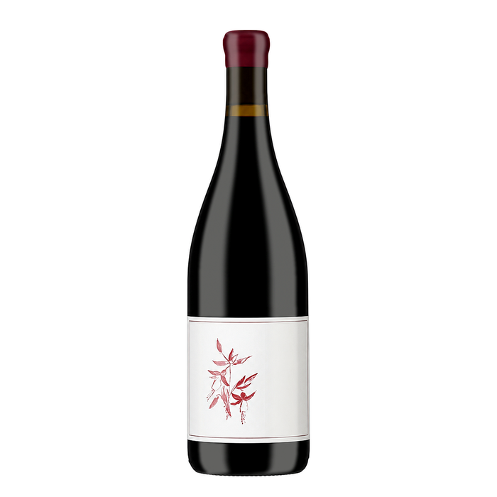 Arnot-Roberts Syrah Que Syrah Vineyard 2024