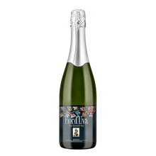 Folicello Fior d'Uva Dry 2024