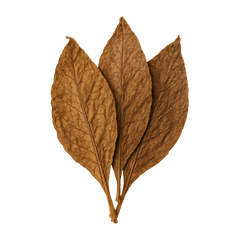 Dried brown bay leaves arranged in a cluster, highlighting their texture and intricate veins.