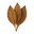 Dried brown bay leaves arranged in a cluster, highlighting their texture and intricate veins.