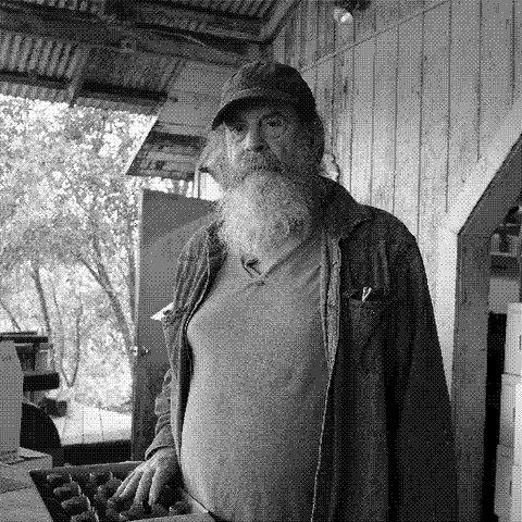 Tony Coturri — natural wine producer