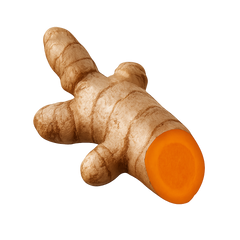 Turmeric Icon Tasting | Primal Wine