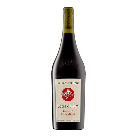 Valentin Morel Côtes du Jura Poulsard en Boutasse 2023, natural wine bottle at Primal Wine