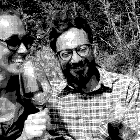 Vigna Flor — natural wine producer