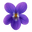 Violet Flower Icon Tasting | Primal Wine