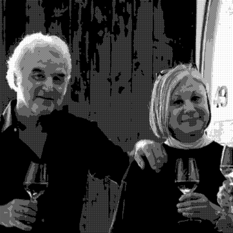 Visintini — natural wine producer