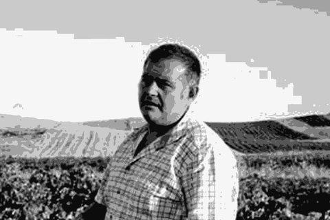 Viteadovest — natural wine producer