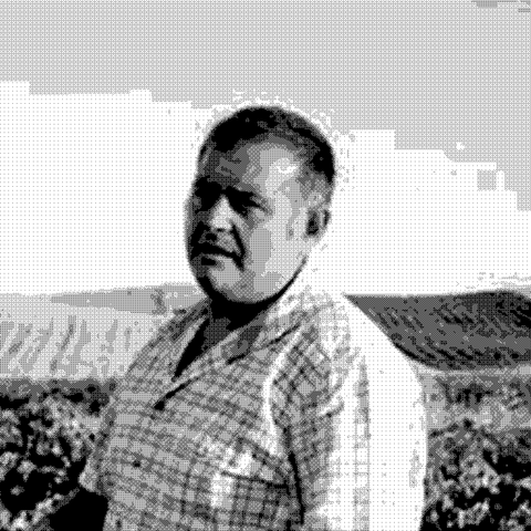 Viteadovest — natural wine producer