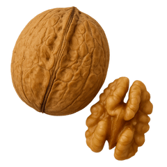 Whole walnut and walnut half on a white background showcasing healthy nuts, perfect for snacking and baking.