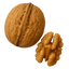 Whole walnut and walnut half on a white background showcasing healthy nuts, perfect for snacking and baking.