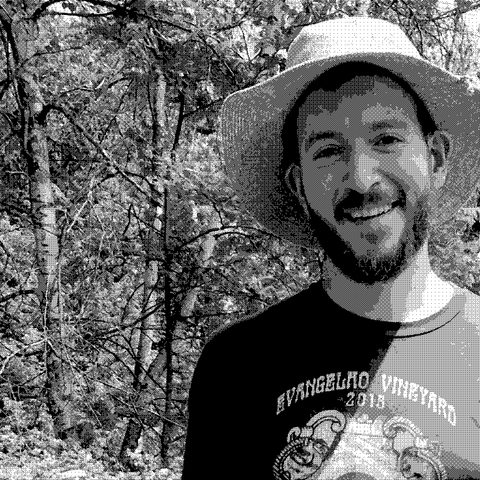 Wild Arc Farm — natural wine producer