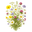 Wildflowers Icon Tasting | Primal Wine
