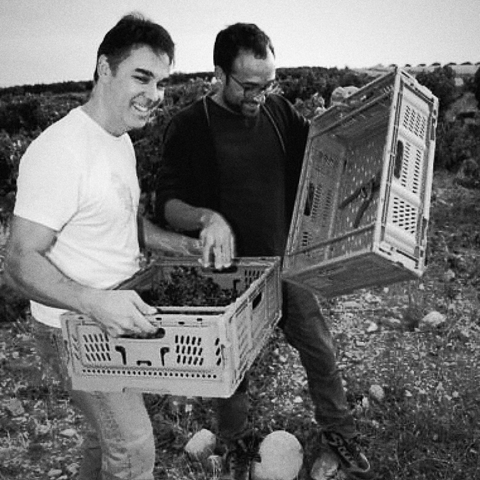Zorzal, natural wine producer